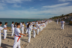 118620749_1244619125872635_8851219899126070796_n