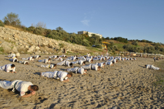 118622028_1244613542539860_5521558830098781836_n