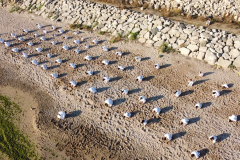 118627468_1244615519206329_1306692625558130684_n