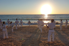 118641375_1244613835873164_1947333535694367359_n