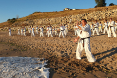 118641849_1244614575873090_5791771019276390524_n