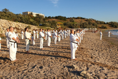 118641859_1244614505873097_5482414646142125828_n