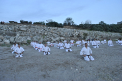 118645739_1244613499206531_8462366113095179278_n