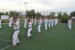 118651232_1244613269206554_1486574079585102263_n