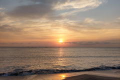 118651896_1244615562539658_2915357753298810764_n