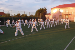 118653880_1244614519206429_7170494760288695247_n