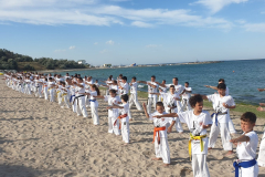 118659416_1244615635872984_6334082161875511122_n