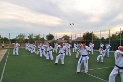 118701558_1244613469206534_5491262741912402509_n