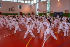 287573127_1715335035467706_7621656232185506741_n