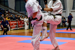 430061864_2143613429306529_588663878203524089_n