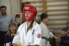 438172136_2191559571178581_3017963835677007442_n