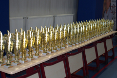 441079134_2191558457845359_7494184318970373471_n