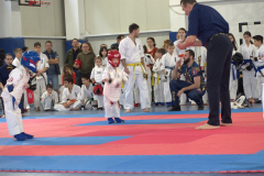 441197104_2191558914511980_4590436129011327238_n