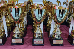 464343190_2330971597237377_7269236076234383883_n