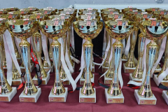 464389038_2330971623904041_1162733119438470591_n