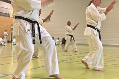 506036017_2540083432992858_3672213371798549975_n