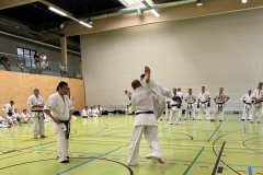 506504884_2540082759659592_1887813752177996042_n