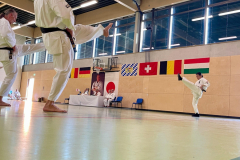 506753067_2540083112992890_8119864257073187776_n