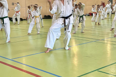 508594924_2540083499659518_3830053969790996928_n