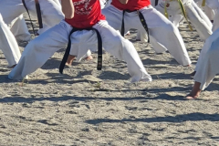 526502536_2576017176066150_8514466843767329458_n