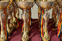 643936085_2779320192402513_6066898818285419839_n