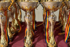 645767728_2780885532245979_3506067620345706876_n