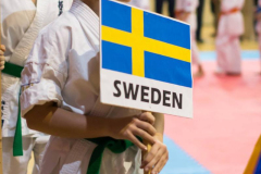 44319806_741418486192704_6058363250058199040_n