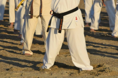133_2012412685759938