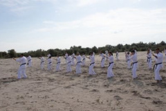 293117457_1736383786696164_7730575515356510582_n