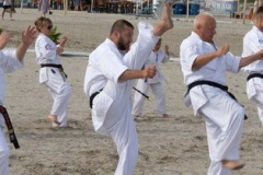 293211045_1736383493362860_2520590442176136560_n