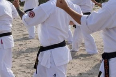 293273571_1736383400029536_7444272288086027763_n